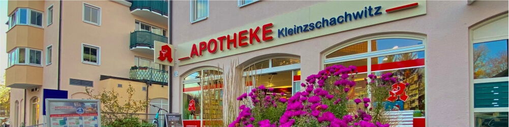 Eichen-Apotheke - Eichenblätter
